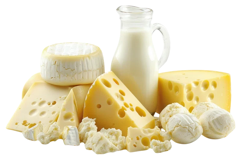 أجبان و ألبان