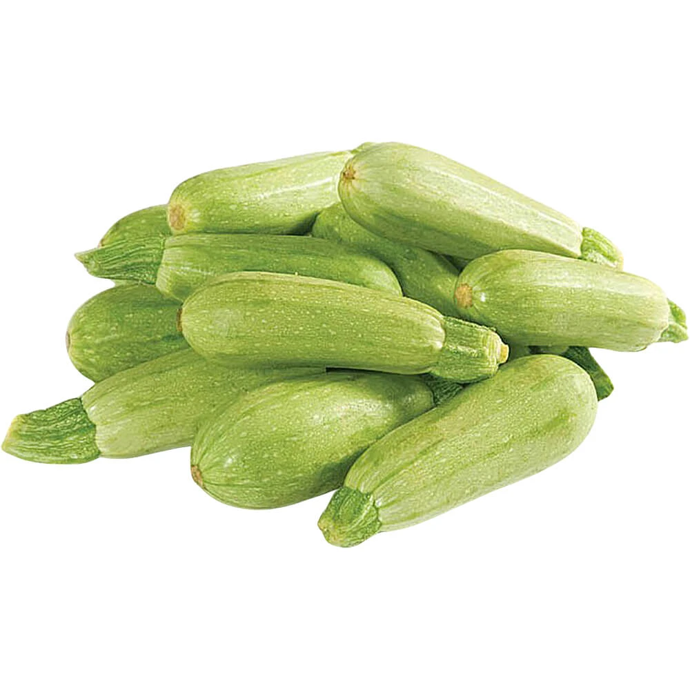 كوسا بيبي